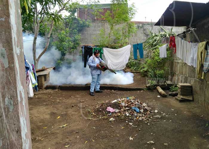 nicaragua, managua, fumigacion, ministerio de salud, barrio georgino andrade,
