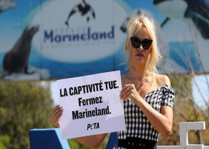 francia, actriz, protesta, parque acuatico, maltrato animal,