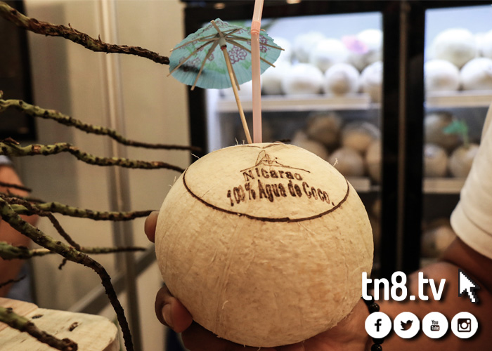 nicaragua, coco abre facil, producto original, coco, nicarao sa, fruta tropical,