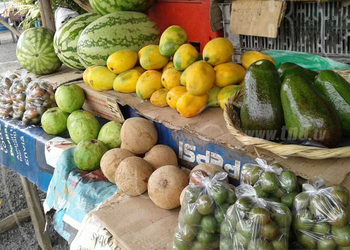 nicaragua, frutas, tropicales, semana santa, verano, oferta, variedad, abundancia,