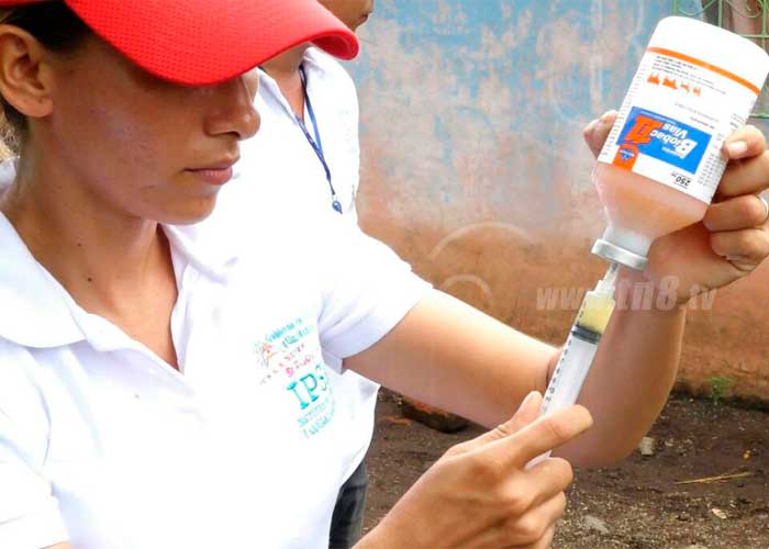 jornada de vacunacion,isla de ometepe, 