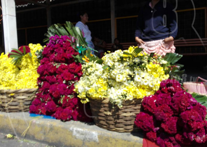 nicaragua, cementerios, dia de los fieles difuntos, flores, 2 de noviembre,
