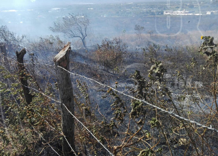 nicaragua, cuesta el plomo, incendio forestal, afectados por humo, managua, barrio gruta xavier,