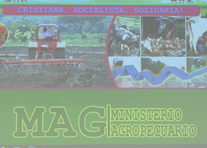 nicaragua, abastecimiento, produccion, mercados, consumo, comercio, ministerio agropecuario,