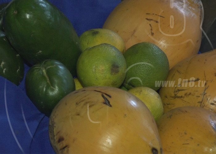 nicaragua, masaya, produccion, seguridad alimentaria, frutales,