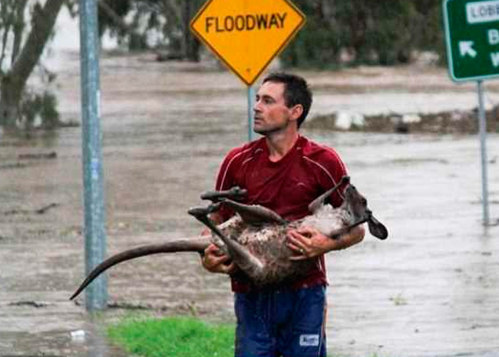 australia, townsville, inundaciones, evacuacion, alerta, emergencia,