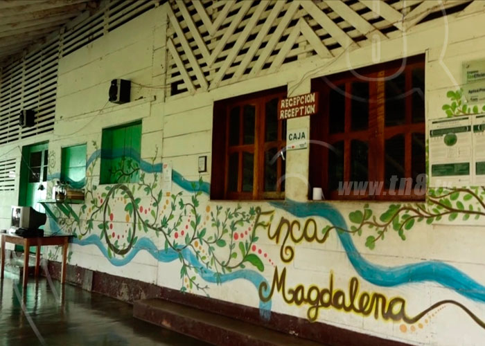 nicaragua, ometepe, destino turistico, finca magadalena, sitio historico, vacaciones,