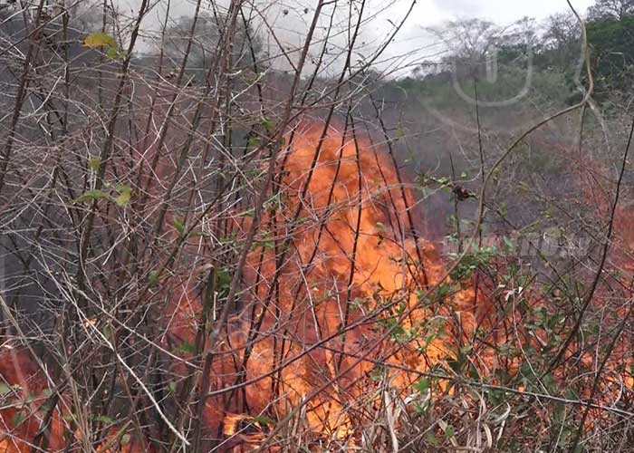 Incendio forestal en Boaco reduce a cenizas varios potreros