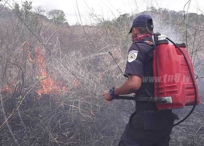 Incendio forestal en Boaco reduce a cenizas varios potreros
