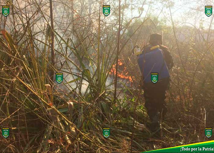 Incendio sofocado por el Ejercito de Nicaragua en la Reserva Natura.