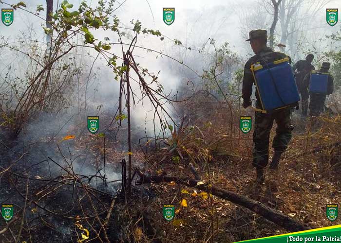 Incendio sofocado por el Ejercito de Nicaragua en la Reserva Natura.