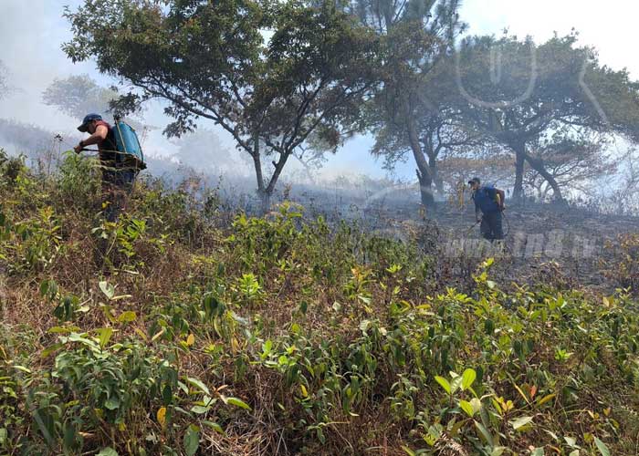 Incendio forestal en Los Placeres de Jalapa