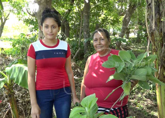 Patios Saludables una iniciativa para enfrentar la pobreza en Nicaragua
