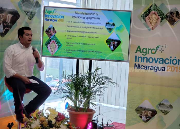 nicaragua, inta, agro innovacion, premio, agropecuaria,