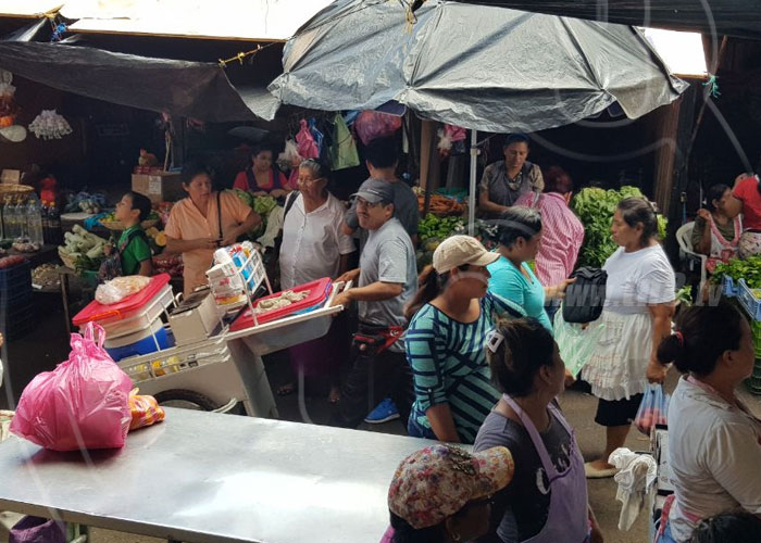 nicaragua, precios, mercado, canasta basica, estabilidad, agricola,