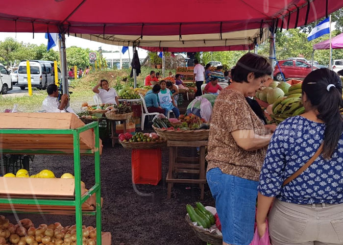 nicaragua, managua, mercado campesino, productos, precios,