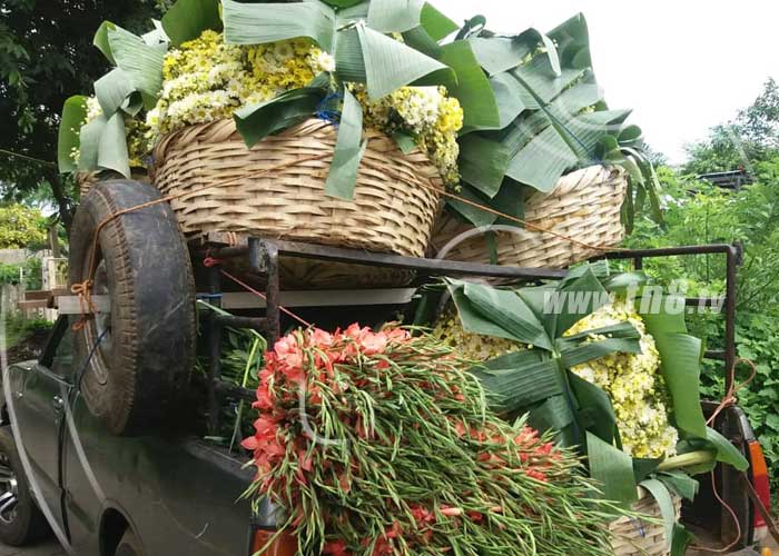 Masaya, la ciudad de las flores, se prepara para el comercio este 2 de noviembre.
