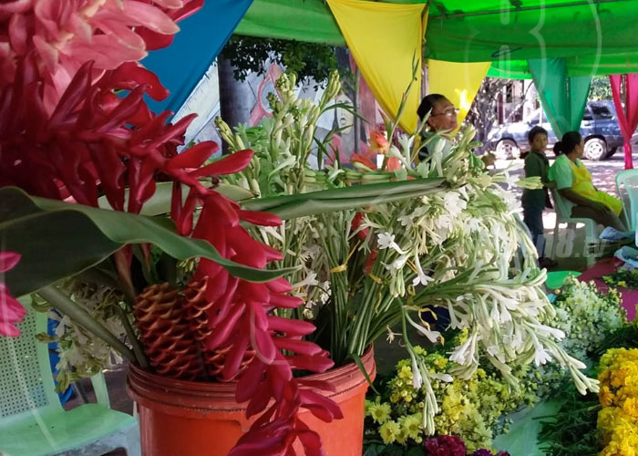 nicaragua, flores, dia de los difuntos, venta, variedad,