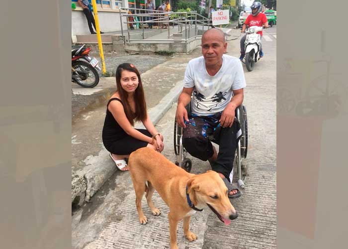 ayuda, perrito, video, filipinas, hombre en silla de ruedas, grabacion, personas, conmocion, bello momento