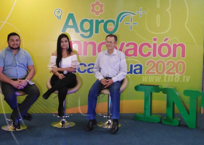 nicaragua, innovacion, inta, premio, innovacion agropecuaria,