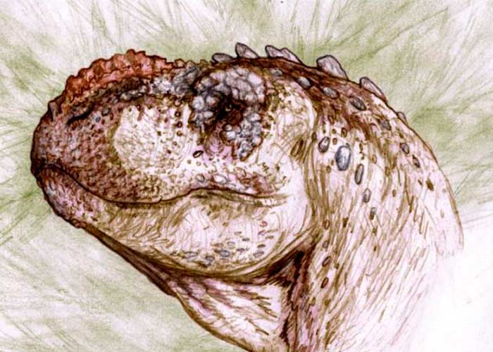 argentina, ciencia. paleontologia, dinosaurio, nueva especie, caracteristicas, fosiles, informacion