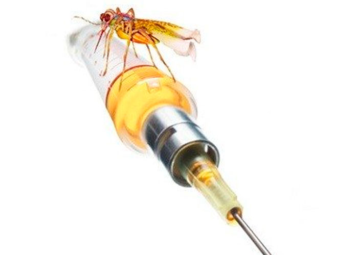 vacunas preliminares, salud, malaria, afectados, anticuerpos, PfGARP, plasma, estudio cientifico