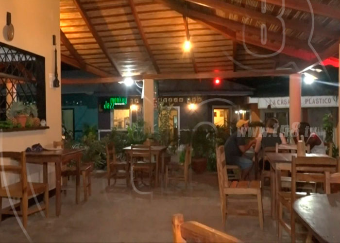 nicaragua, isla de ometepe, turismo, negocios,bares, hoteles, restaurantes, musica, 