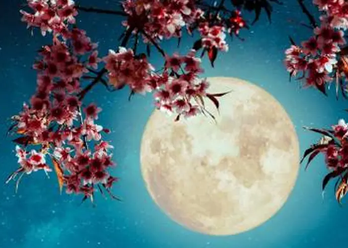 astronomioa, cielo, espectaculo, luna, tierra, luna de flores, primavera, nombre