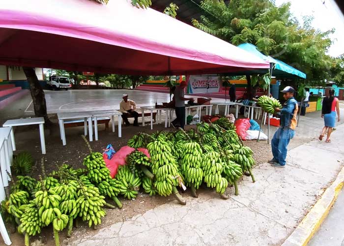 nicaragua, mercado campesino, matiguas, compras, economia familiar,