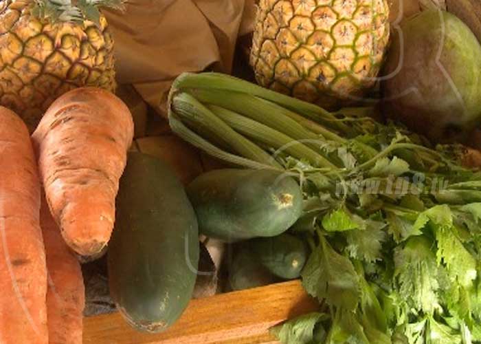 nicaragua, feria, frutas, cultivo, no tradicional, economia familiar,
