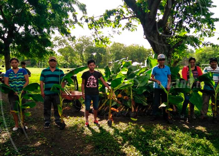 Foto: Productores de la Isla de Ometepe en constante mejora en sus cultivos/TN8