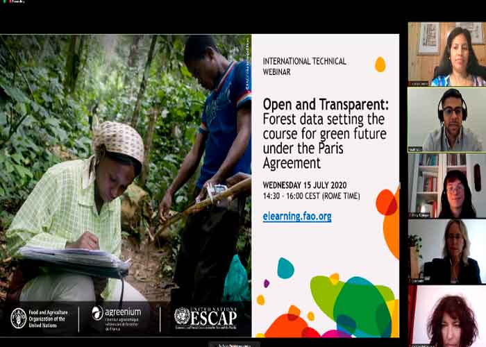 nicaragua, politica, seminario web, cambio climatico, datos forestales, naciones unidas,