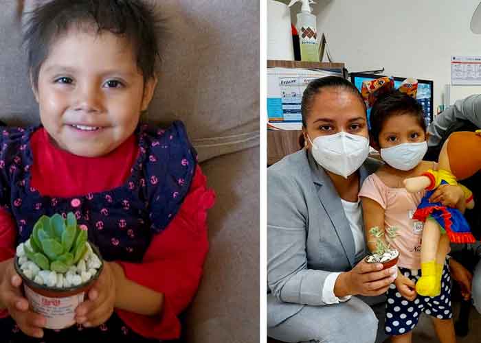 mexico, nina de 3 anos, batalla contra el cancer, venta de plantas, 