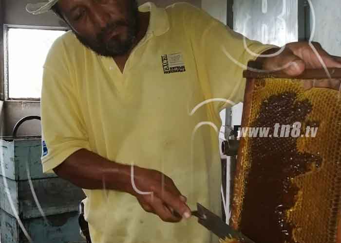 Foto: Hombre trabaja con materiales especial de miel/TN8