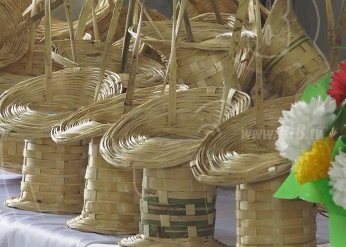 nicaragua, bambu, madriz, artesania, cultivo, taiwan,