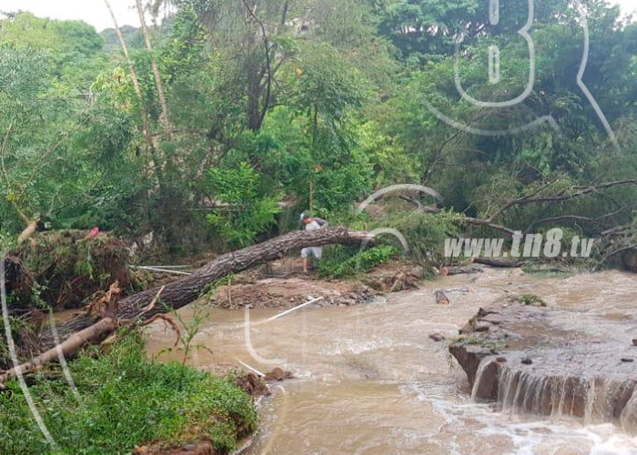 Foto: Cuatro viviendas fueron afectadas por lluvias en Dipilto / TN8 