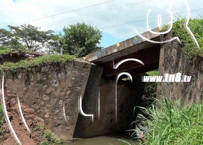 Foto: Puente La Guamurra se derrumba en el municipio de El Sauce / TN8