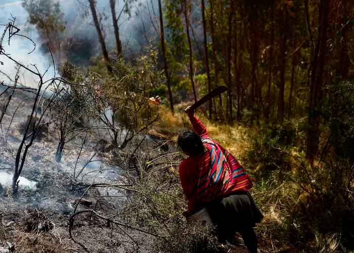 zonas afectadas, peru, incendio forestal, extinguido, autoridades, cusco