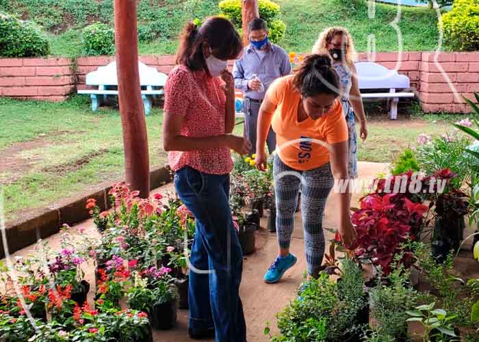 Foto: Feria de los Pueblos Blancos resalta el trabajo de viveristas de Nicaragua / TN8