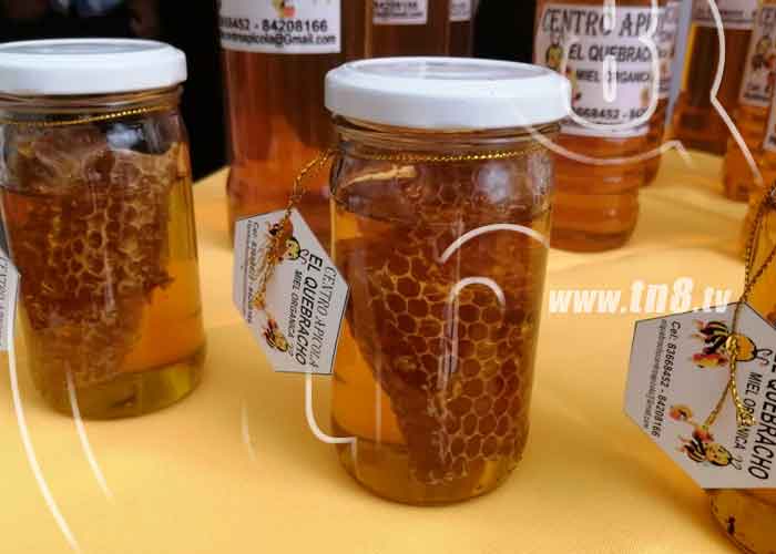 Apicultores de Boaco celebran la expoferia de la miel de abeja / FOTO / TN8 