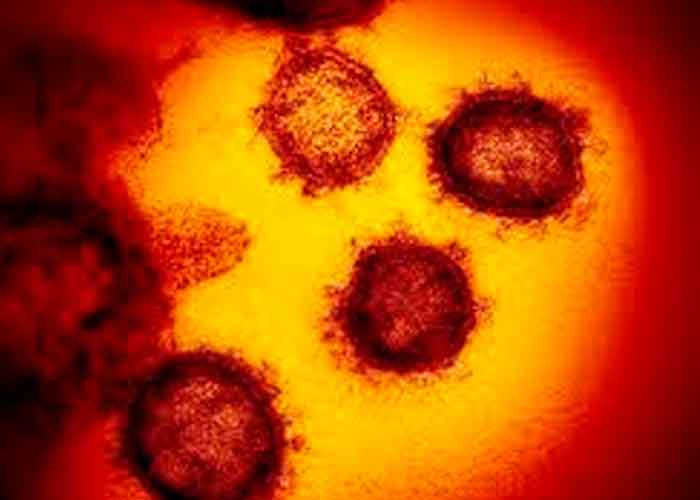 salud, pandemia, estudio, ciencia, analisis, mutaciones, coronavirus