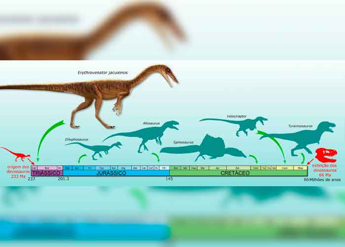 ciencia, brasil, nueva especie, dinosaurio, erythrovenator jacuiensis, caracteristicas, fosiles