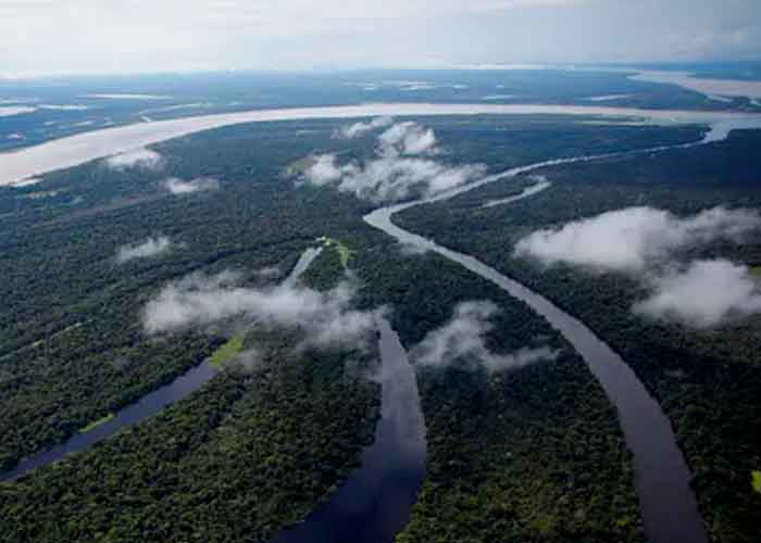 medioambiento, selva amazonica, variedades, especies, cambio climatico, incendios, comunidades