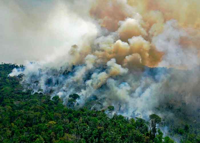 brasil, medioambiente, amazonias, deforestacion, pantanal, selva, quemas