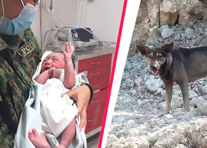 Foto: Filipinas: Un perrito ayuda a salvar la vida de un bebé en terreno abandonado/ La República 