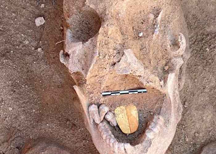 Egipto, alejandria, grupo de arqueologos, momia  con lengua de oro, 