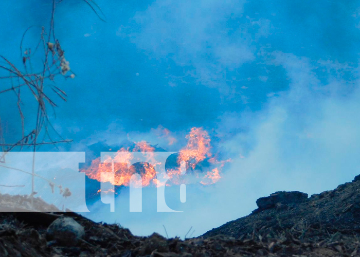 Foto: Controlan incendio en antiguo aserradero de madera en Mozonte/ TN8