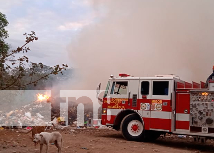 Masaya: Controlan incendio de maleza que amenazaba con salirse de control / FOTO / TN8 