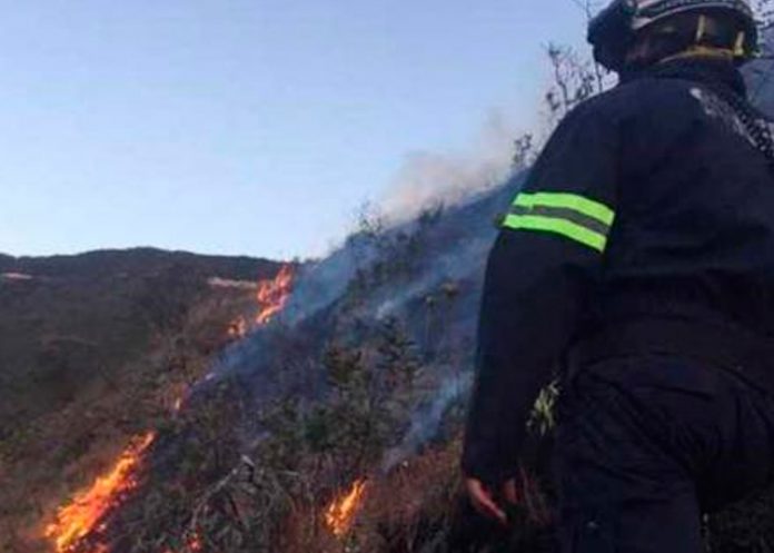 incendio forestal en el Atacazo