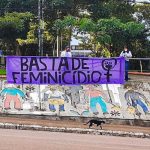 feministas brasilenas